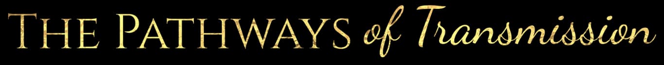 The Pathways of Transmission - Desktop