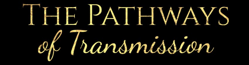 The Pathways of Transmission - Mobile